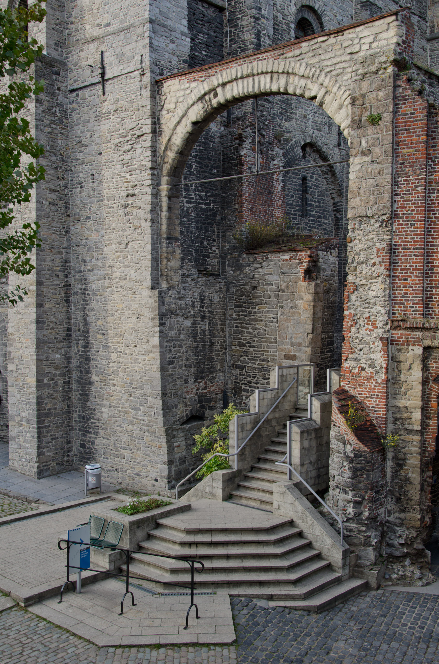 DSC_5697.jpg
