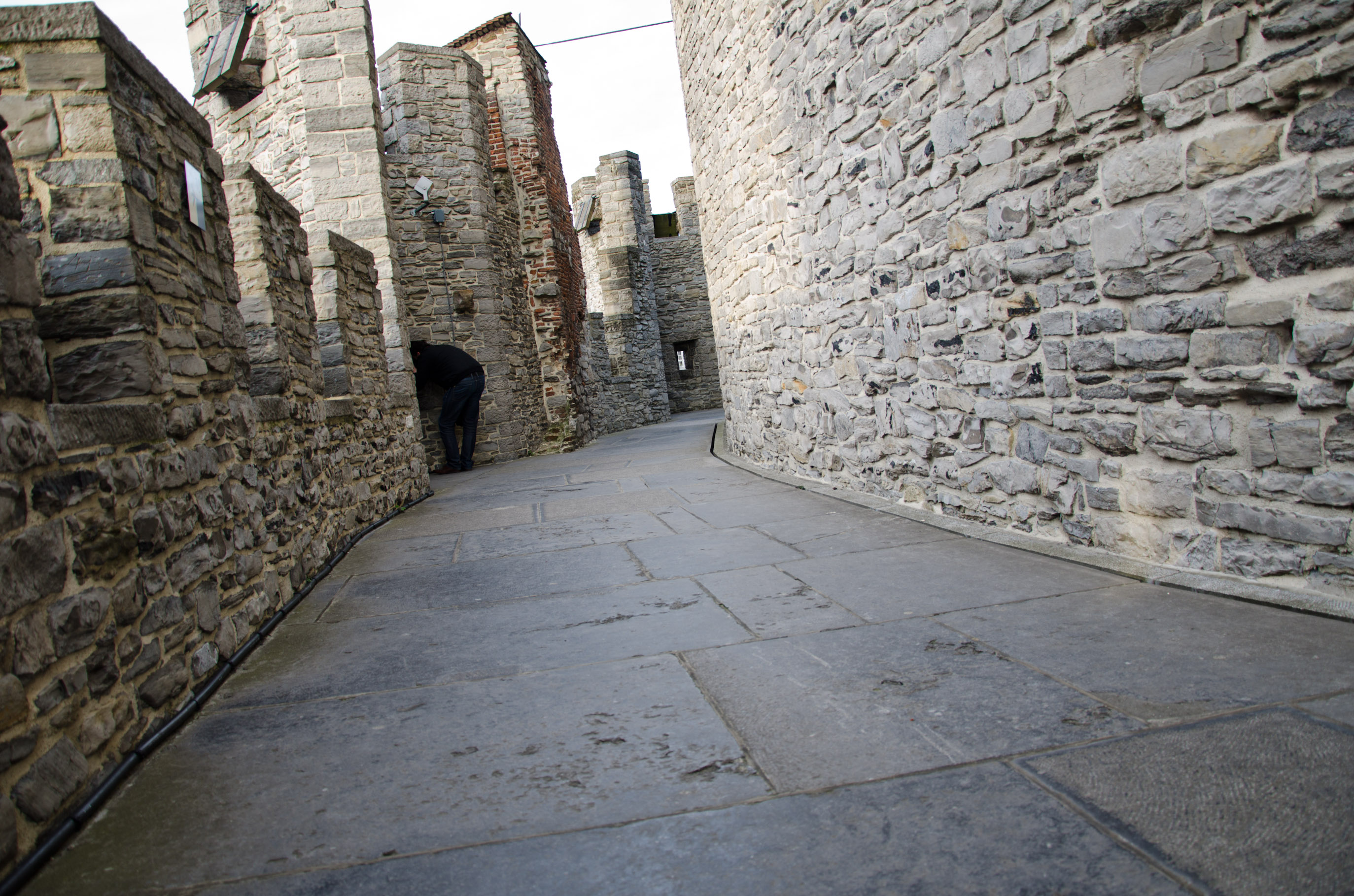 DSC_5702.jpg